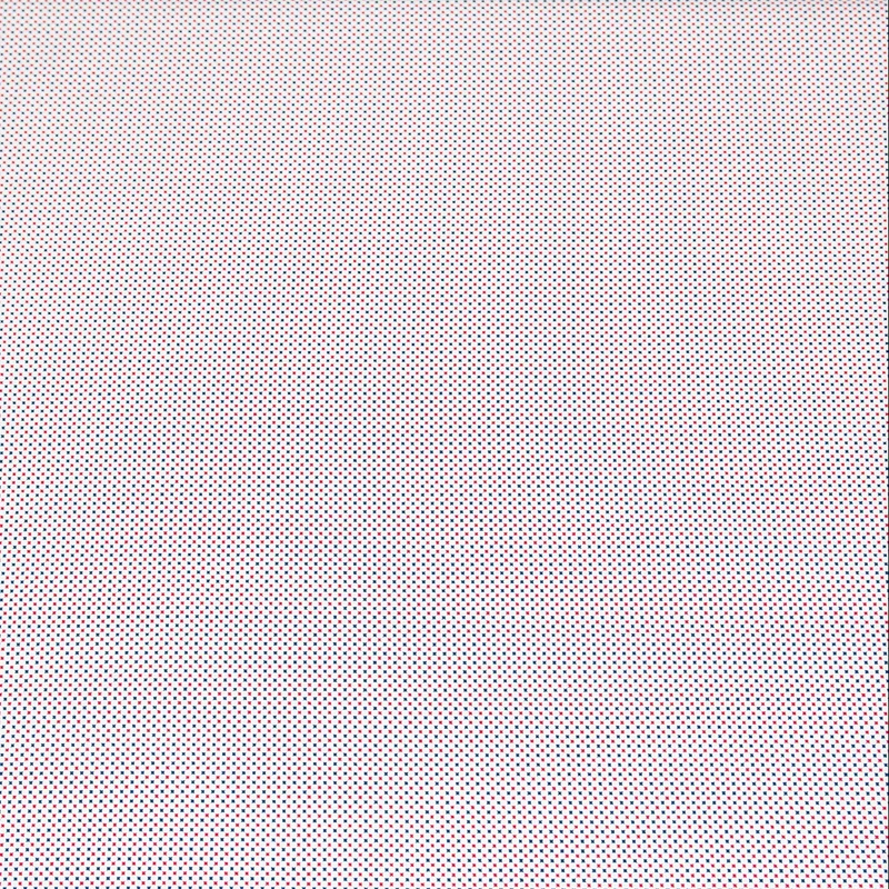 Lilliput Quadratini - Cotone MicroPrint (SCAMPOLO 1 M)