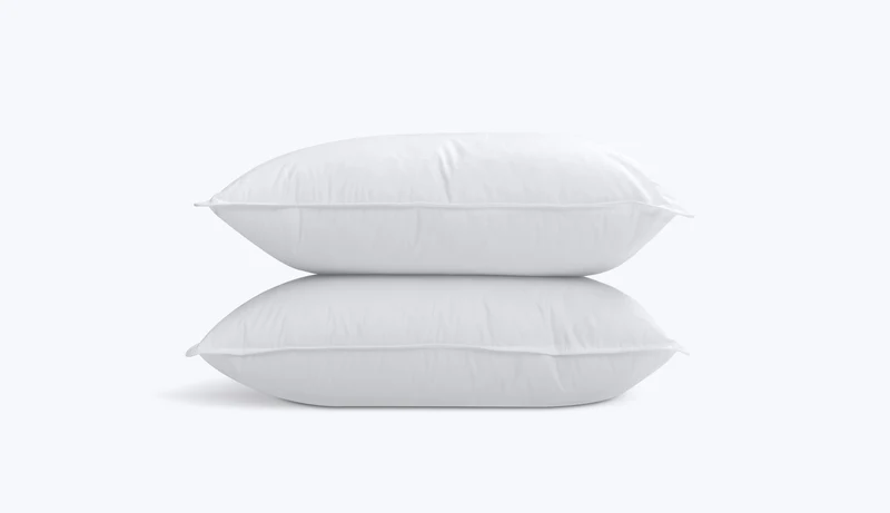 Cuscino Ibrido x2