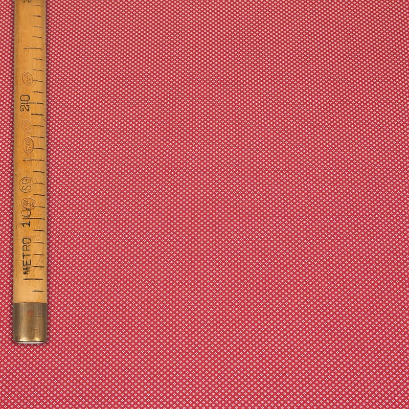 Cotone MicroPrint - Lilliput Stellina