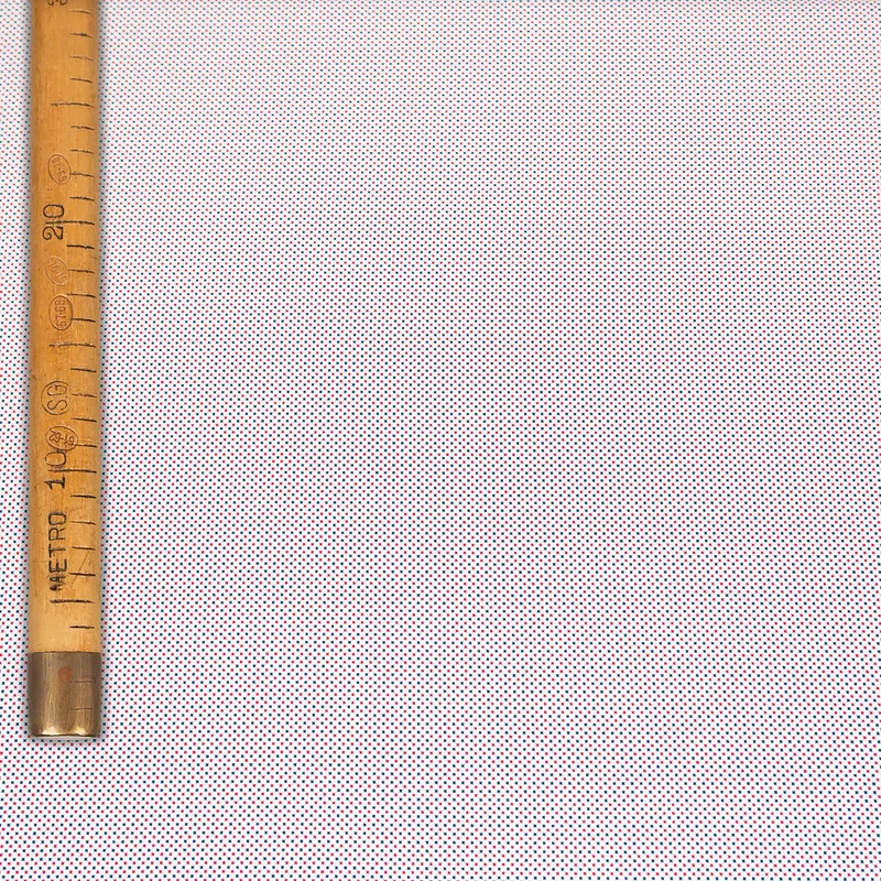 Cotone MicroPrint - Lilliput Quadratini Rosso&Blu / Bianco