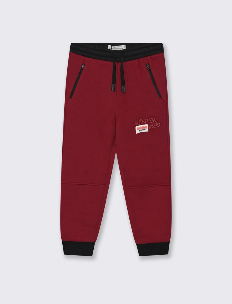 Jogger NYC in cotone con stampa e etichetta - Bordeaux
