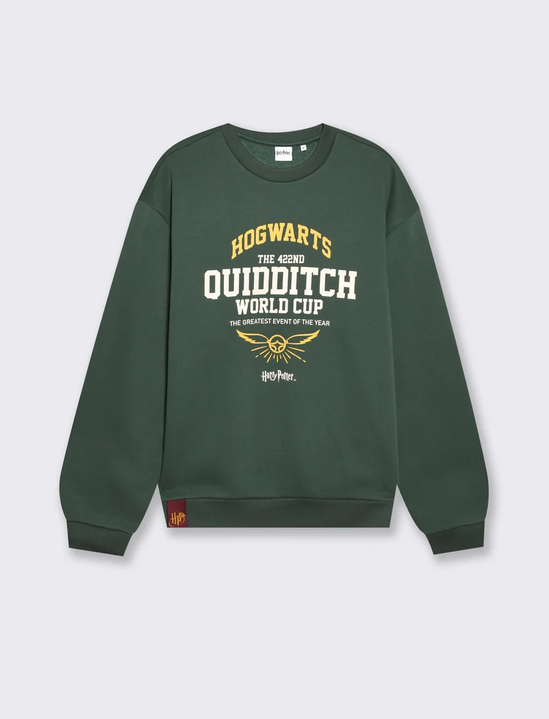 Felpa Harry Potter girocollo uomo boxy fit - Verde