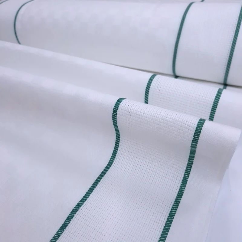 Tessuto H 60 cm per Asciugapiatti Doppio Bordo Aida - BIANCO RIGHETTA VERDE