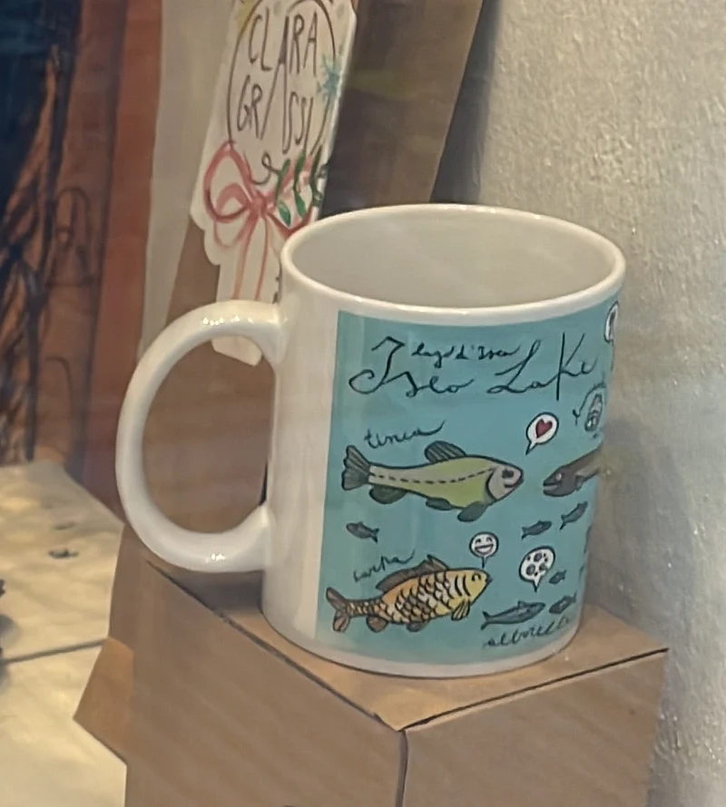 Mug pesci lago
