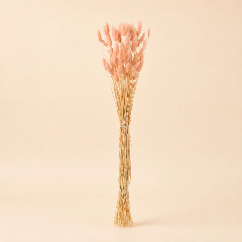 Code di Lepre Essiccate Rosa – H 82 cm