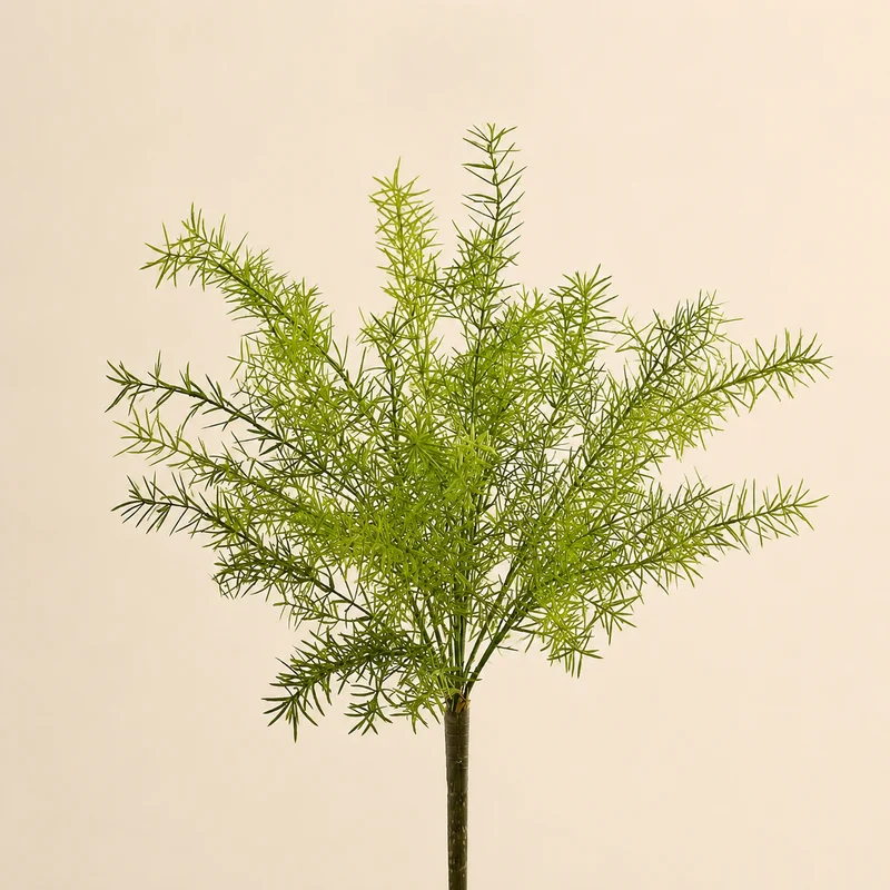 Asparagus Artificiale H.83 cm