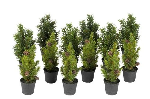 Albero di cedro H 20 cm