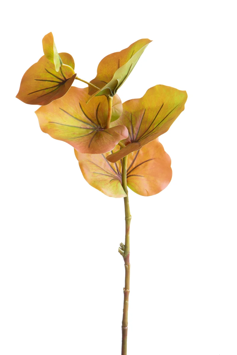 Ramo di kalanchoe artificiale
