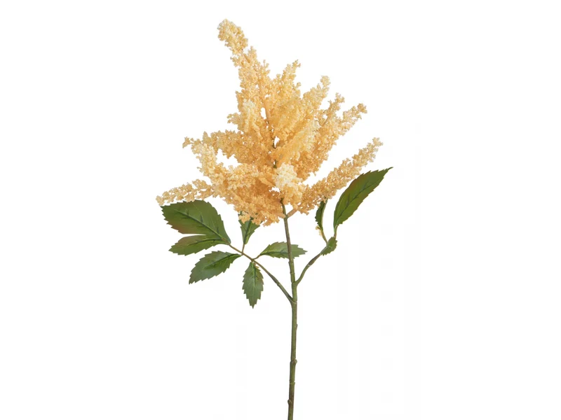 Ramo autunnale di Astilbe
