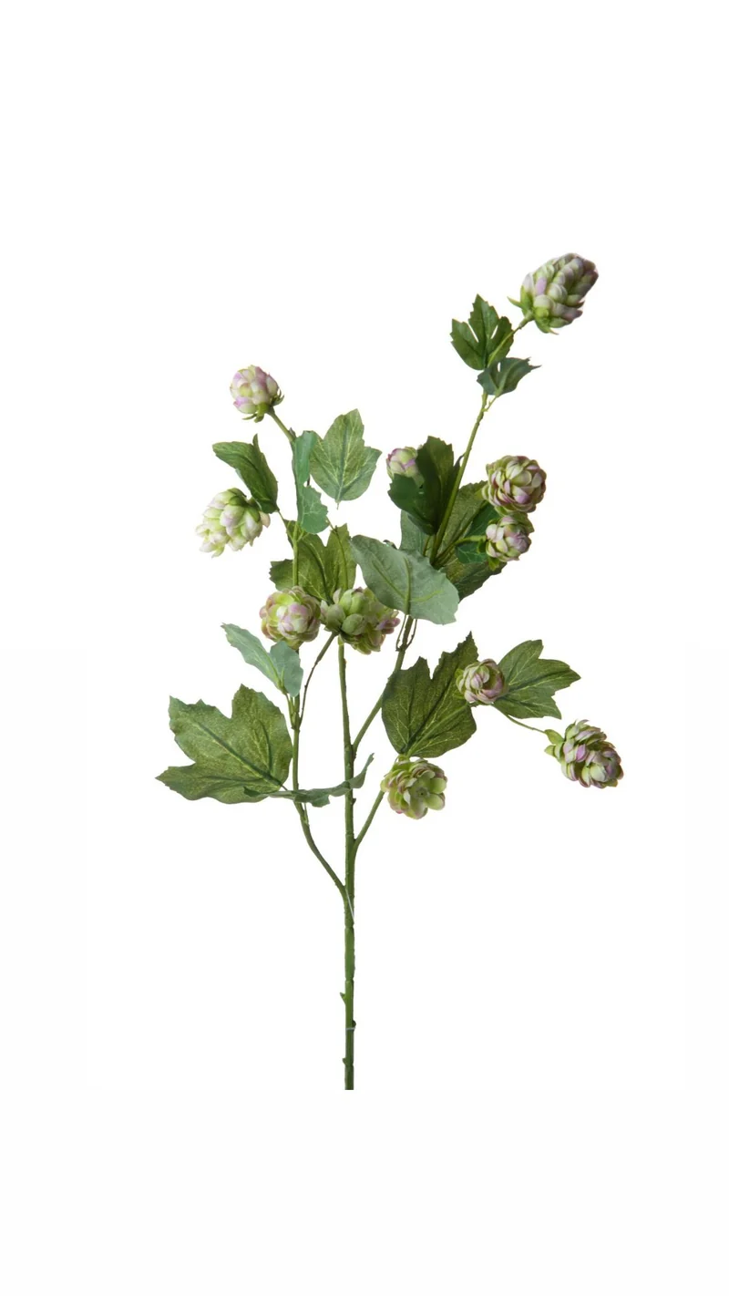 Fiore Luppolo 78 Cm